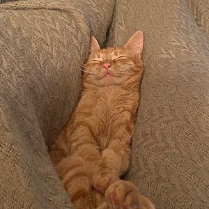 Meet your Posher, Isaac